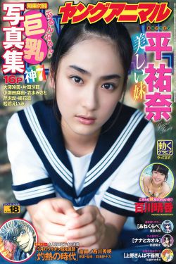 步步惊心:丽 电视剧